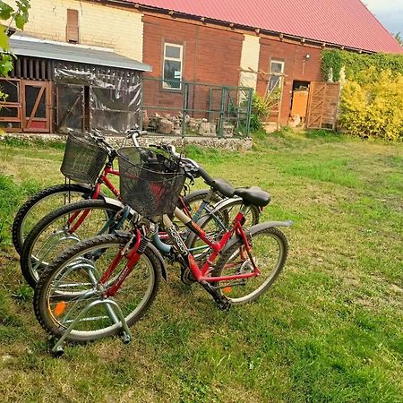 Malinowy Gaj - Agroturystyka Z Alpakami I Innymi Zwierzetami Swietajno  Εξωτερικό φωτογραφία