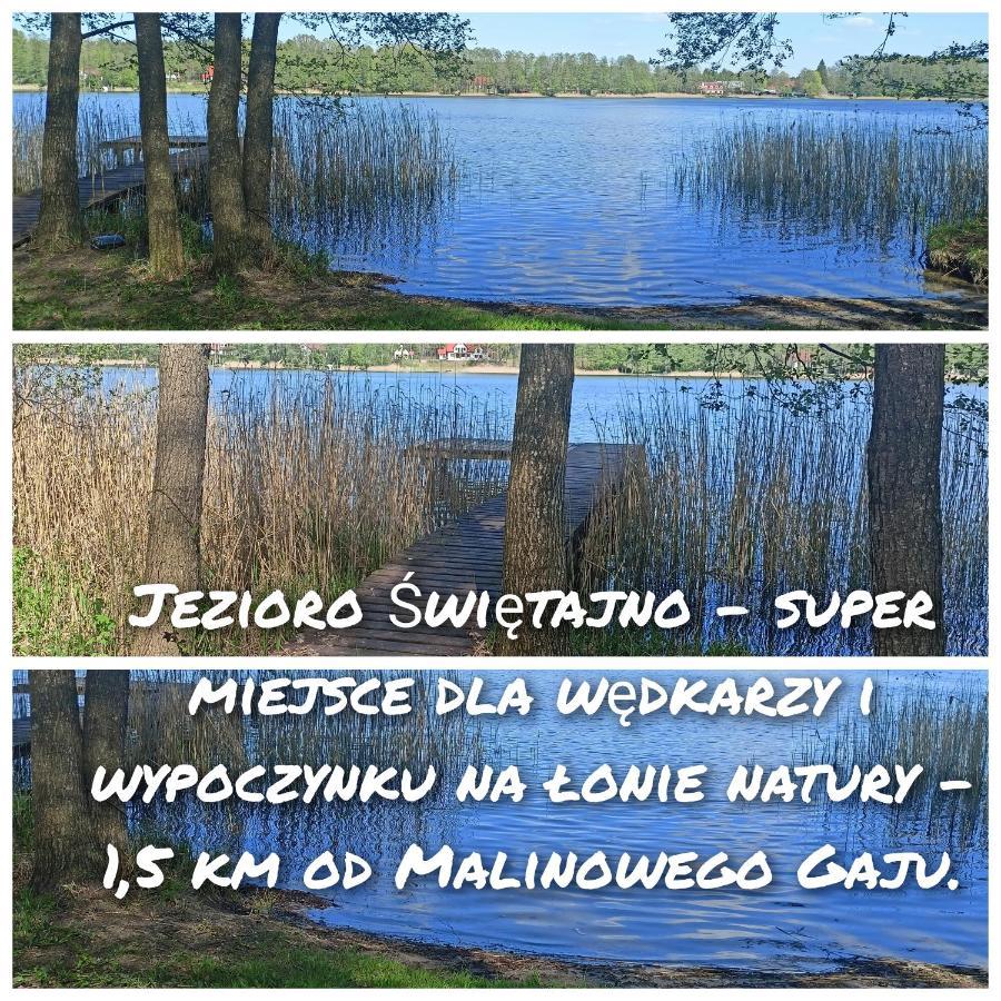 Malinowy Gaj - Agroturystyka Z Alpakami I Innymi Zwierzetami Swietajno  Εξωτερικό φωτογραφία