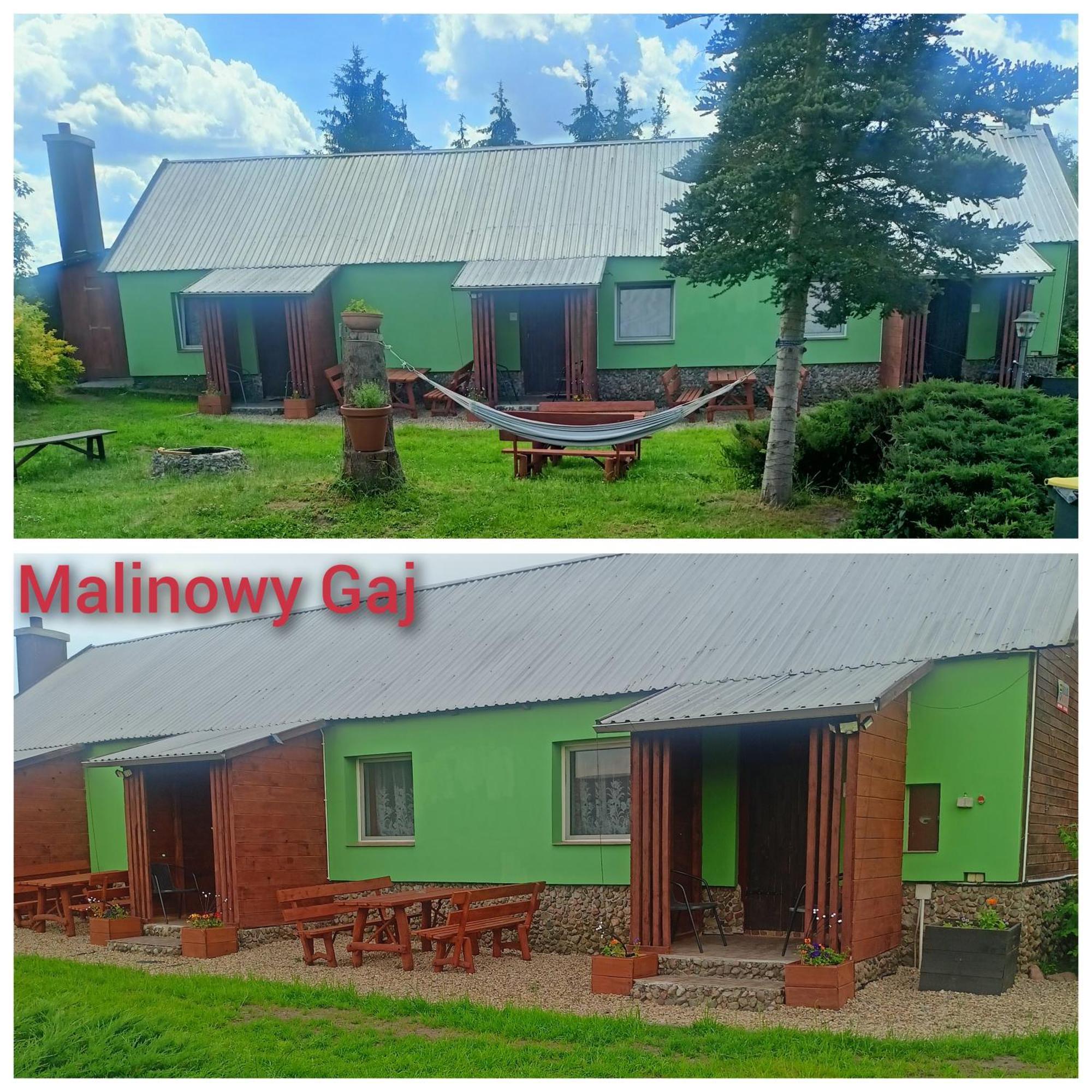 Malinowy Gaj - Agroturystyka Z Alpakami I Innymi Zwierzetami Swietajno  Εξωτερικό φωτογραφία