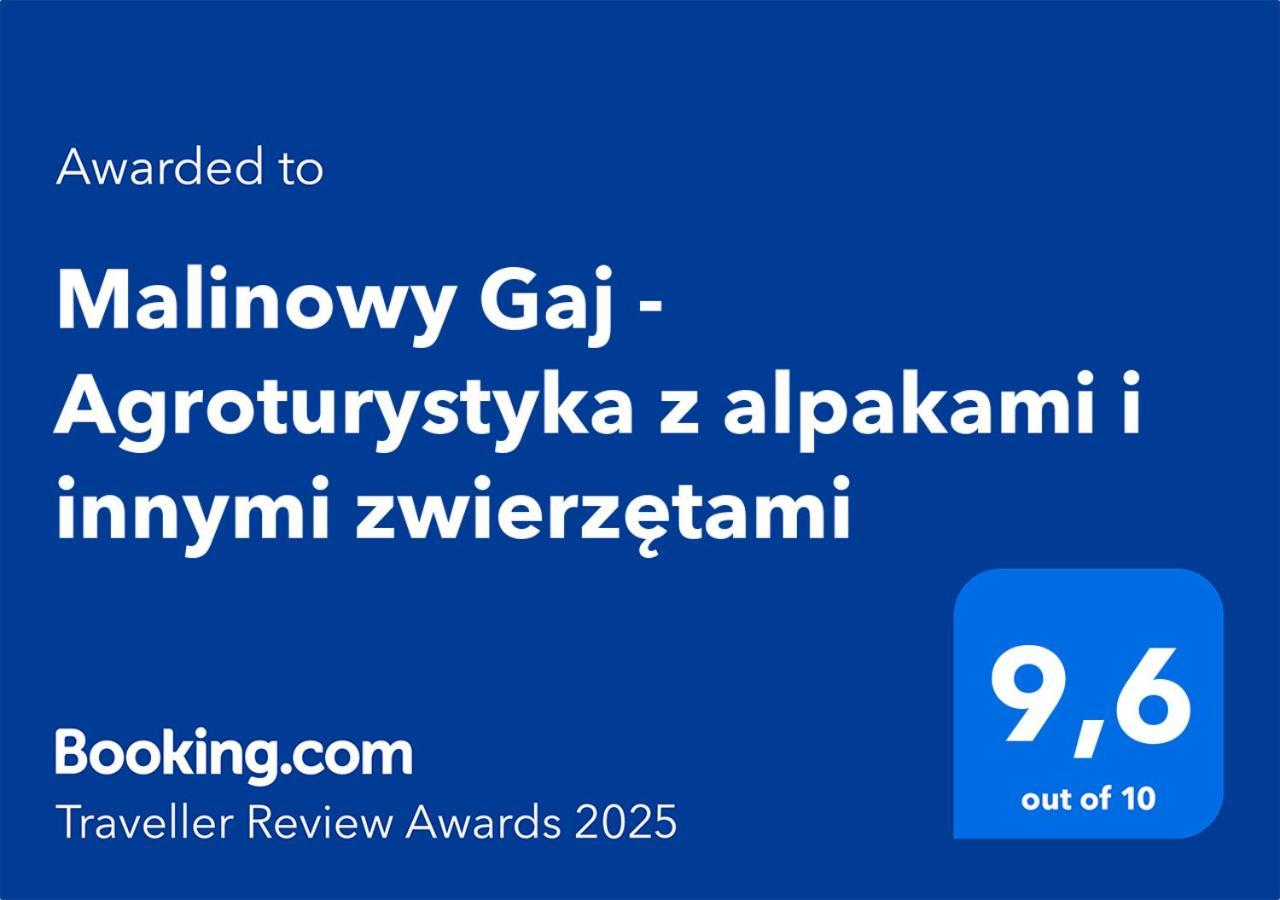 Malinowy Gaj - Agroturystyka Z Alpakami I Innymi Zwierzetami Swietajno  Εξωτερικό φωτογραφία